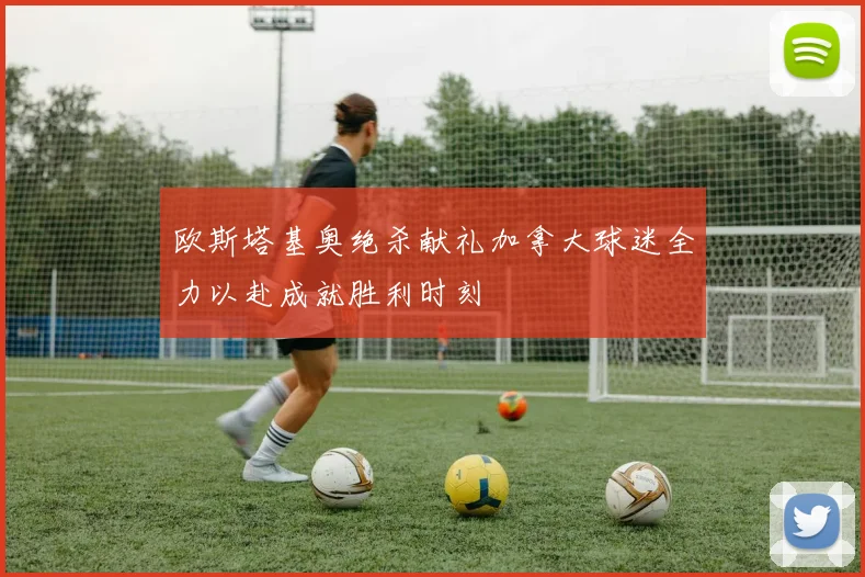 欧斯塔基奥绝杀献礼加拿大球迷全力以赴成就胜利时刻