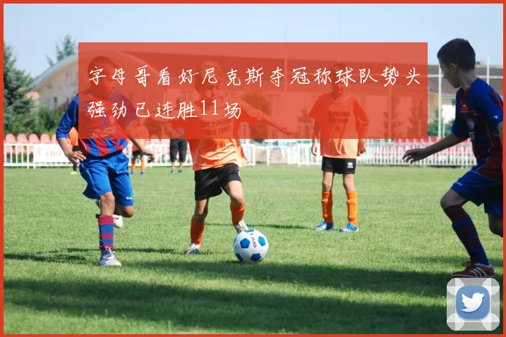 字母哥看好尼克斯夺冠称球队势头强劲已连胜11场